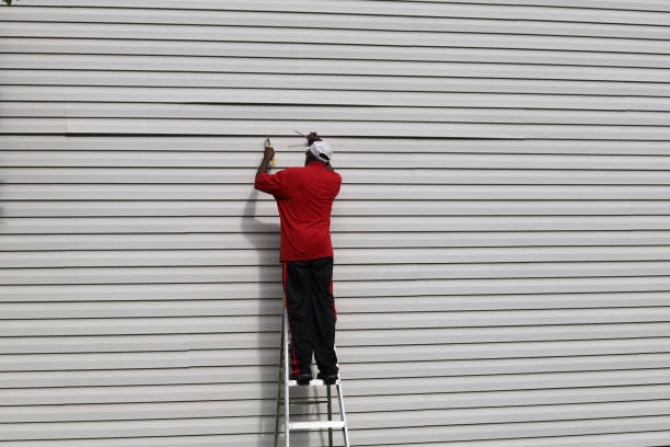 Best Siding Painting and Refinishing  in Sur Hill, GA